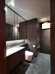 Kopar At Newton (D9), Apartment #456431721